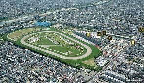 Maybe you would like to learn more about one of these? é˜ªç¥žç«¶é¦¬å ´ é¦¬ä¸»å¸­ã¸ã®è¡Œãæ–¹ é¦¬ä¸»ã®æ–¹ã¸ Jra