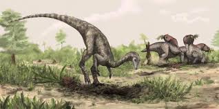 Kembali membahas topik baru mengenai arti mimpi memetik bunga warna warni yang membuat kita bertanya dalam hati apakah ada kaitan antara mimpi mencari bunga tersebut dengan kehidupan di alam nyata? Dinosaurus Pertama Ditemukan Fachri S Blog