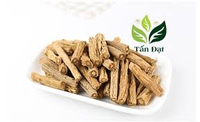Đẳng sâm điều trị tỳ vị hư hàn, thiếu máu, bồi bổ cơ thể
