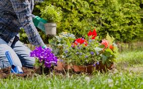 Welcome to the gardener's paradise. Considerations For Home Gardening In Karachi City Zameen Blog
