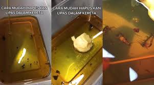 Maybe you would like to learn more about one of these? Pakai 2 Bahan Dari Dapur Ni Je Ini Cara Mudah Buat Perangkap Lipas Dalam Kereta Tanpa Guna Racun