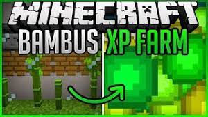 Most cacti do not have leaves, however, some do. Automatic Bamboo Xp Farm Fast Easy Tutorial Minecraft Map