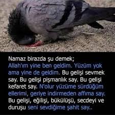 Ayetler Enguzeldualar Evliyasozleri Hadisler Islamisozler Ayetler Hadisler En Guzel Dualar Islami Sozler Evliya Sozleri Allah Islam Cool Words Words