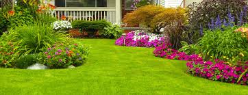 Learn how to grow a perfectly productive garden with our expert gardening tips, ideas and techniques for every season and space. Best Home Gardening Ideas Frontyard Backyard Landscape Designs