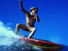 Image result for foto surfínie