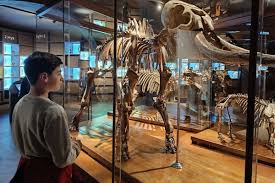 Visita al Museo della Natura e dellUomo a Padova - DivertiViaggio