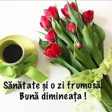 Buna ziua in diverse contexte, propozitie cu acest cuvant. Pin By Mihaela Dimboiu On DimineaÈa FrumoasÄ Daily Greetings Good Morning Montreal Botanical Garden