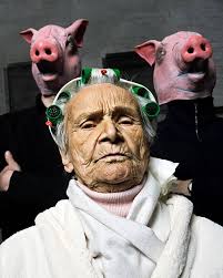 1,200+ Scary Pig Stock Photos, Pictures & Royalty-Free Images