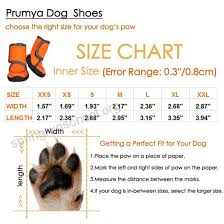 Prumya Dog Boots Waterproof Paw Protectors Dog Shoes With
