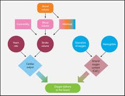 The Basics Of Fluid Therapy Todays Veterinary Nurse