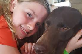 Directory of Pet Sitters & Dog Walkers in Franklin, WI