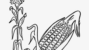 We did not find results for: Gambar Tumbuhan Jagung Animasi Cikimm Com