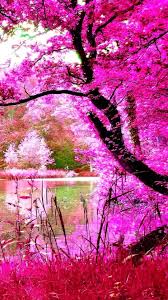 Jun 12, 2021 · paris, june 12 (ians) world no. Nature Wallpaper For Whatsapp 1080x1920 Wallpaper Teahub Io