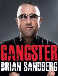 Irvings 12. roman gør forfatterskabet en bjørnetjeneste