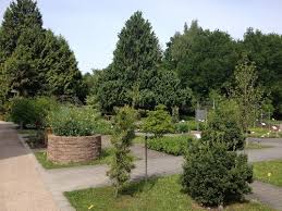 Die familien entdecken in heidelberg nicht nur kultur und tiere, sondern auch die botanik ist ein weites feld, deren erforschung sich durchaus lohnt. Botanischer Garten Als Student In Heidelberg Audioguide Bei Guidemate