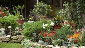 Doch auch andere giftige pflanzen wachsen im garten: Giftige Pflanzen Evidero