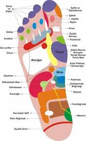 Bayanlar Bilir Refleksoloji Nedir Tum Gercekleri Acikliyouz Refleksoloji Saglik Saglik Ve Fitness