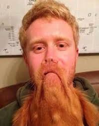 What do you see in these photos?