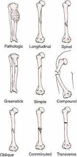 Follow Us For All Kinds Of Quotes Repin It If You Like It Quote Quotes Wordsofwisdom In 2020 Medical Dictionary Medical Coding Medical Knowledge
