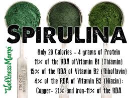 Spirulina Benefits 7 Reasons To Try It 1 Major Caution