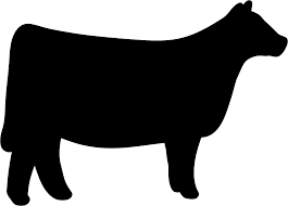 Cow Clipart Heifer 9 Cow Clipart Show Cows Show Cattle
