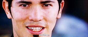 How I picture downvote fairies.