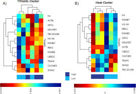 Treatment with tumor-treating fields (TTFields) suppresses intercellular  tunneling nanotube formation in vitro and upregulates immuno-oncologic  biomarkers in vivo in malignant mesothelioma