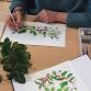 Introduction to Winter Botanical Painting with event image