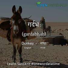 We use _____ to say we are certain that something will happen. Different Names Of Animals Learn Sanskrit Open Pathshala