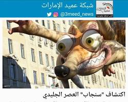 Image of الأحفورات