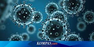 7 Wabah Virus Yang Pernah Mengguncang Dunia Selain Corona Halaman All Kompas Com