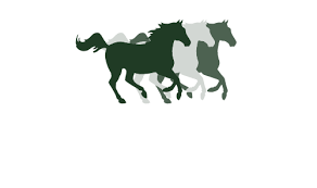 Boots for every discipline, from hacking, to schooling, eventing or travelling. Edirectory Of Vendors Pennsylvania Equine Council