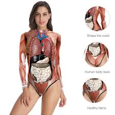 175,000+ vectors, stock photos & psd files. 3d Printed Long Sleeve O Neck Skinny Bodysuit 2019 Summer Women Human Internal Organs Style Sexy Body Suit Casual Jumpsuit Party Favors Aliexpress