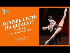 как сесть на шпагат за 10 минут для начинающих 5 Poperechnyj Shpagat Za 10 Minut Razvitie Vyvorotnosti Sustavov S Hubme Youtube Shpagat Anatomiya Telo