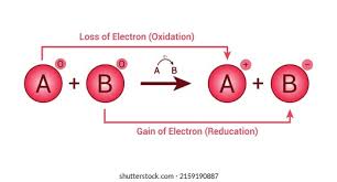 نتیجه جستجوی لغت [reduction] در گوگل