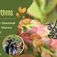 Nature Rhythms: Tracking Plants and Wildlife