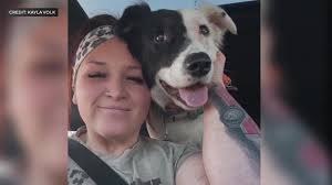 Warning about trusting pet care services for dogs and cats