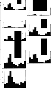 Image result for Oreophyton falcatum