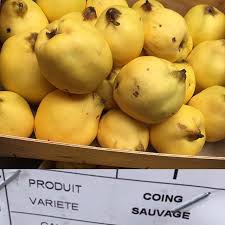 Ils Sont Arrives Les Coings Sauvages De Provence Leur Parfum A Envahi Tout Le Labo Coing Coings Confiture Gelee Gelee Geleedecoings Artisan Fruit Pear