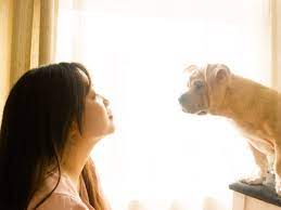 Los angeles homeless man shares the harsh reality of skid row. What Your Choice Of Dog Breed Tells About Your Personality The Times Of India