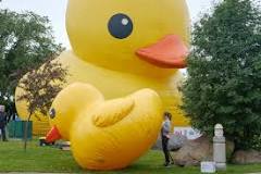 The World's Largest Rubber Duck cost $120k to rent — was it ...