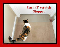A cat shock collar is a type of physical punishment for pet cats. Carpet Scratch Stopper For 30 Doors