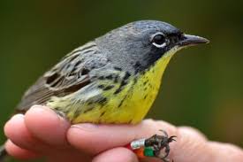 Natural Resources Foundation Of Wisconsin Support Wisconsin S Lands Waters And Wildlife Today