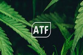Image result for agro tech farm ico review
