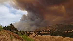 However, estuaries of tropical areas have been scarcely studied regarding water quality and biodiversity in spite of strong developments of their agricultural and livestock sectors. Plane Disappears Into Cloud Of Smoke From River Fire Burning Near Salinas