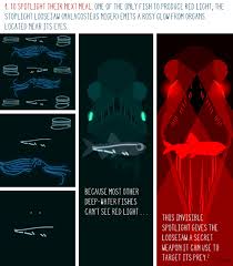 A Great Illustration Of The Reason Why Some Animals Flash Their Neon Light Stop Light Image Illustration Light Up