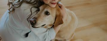 You can take classes online or at a local community college. 6 Dog Photography Ideas That Will Work Better Than A Treat Shootproof Blog
