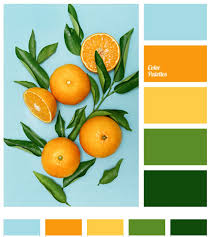One successful strategy is to pick analogous colors — those that are next to each other on the color wheel, such as yellow and green. Orange Color Palette Color Palette Yellow Color Palette Bright Orange Color Palettes