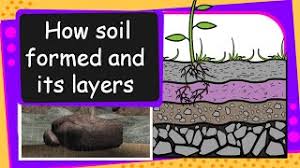 Check spelling or type a new query. Science Soil Formation And Soil Layers English Youtube