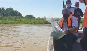 Mengubah sungai menjadi wisata edukasi sejuta ikan yang menakjubkan banyak sungai desa keadaannya kritis karena sampah yang dibuang sembarangan. Jangan Guna Tuba Racun Ikan